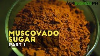 Muscovado sugar processing in the Philippines  Muscovado sugar Part 1 Agribusiness [upl. by Cosetta]