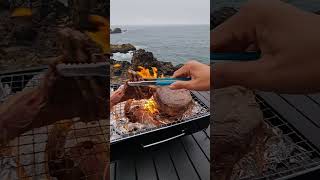 outdoorcooking seaside riverside watersounds bushcooking steakrecipes food 🍲beefrecipes [upl. by Kcirrem766]