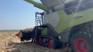 Trebbiatura mais Dekalb 2024  Claas Lexion 7700 vs Case 7250 [upl. by Aowda702]