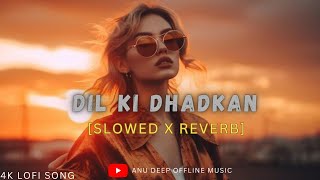 Dil Ki Dhadkan Slowed  Reverb  Mind Fresh Lofi Song Mind Relax Lofi Mashup  Anu Deep Tirkey [upl. by Tiphani]