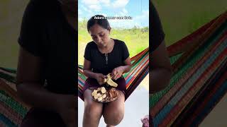 Comendo com fruta comida diadia vidanaroça [upl. by Gerc]