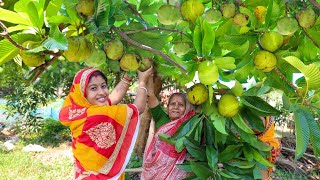 তনুর জন্য ঠাকুমা আজ বানালো টক ঝাল মিষ্টি চালতার আচার  Elephant Apple Pickle Recipe [upl. by Anaehs]