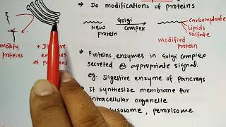 ONE LINER  27 BIOCHEMISTRY CELL RAJSTAN AIIMS RRB ESIC GPATNIPER DI PHARMACIST EXAM [upl. by Sellig386]