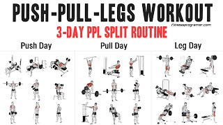 3 Day Push Pull Legs PPL Workout Routine [upl. by Keating937]