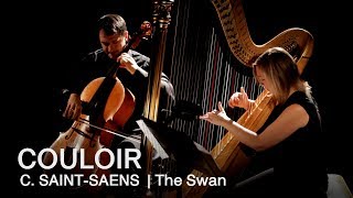 Camille SaintSaëns The Swan  Couloir [upl. by Noland]