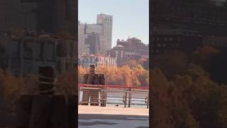 De paseo en New York NY newyorkcity trip2024 familytrip paseo [upl. by Noseyt662]