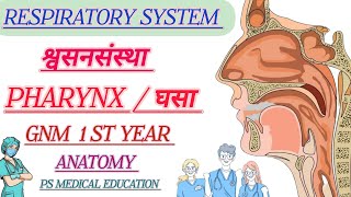 RESPIRATORY SYSTEM  PHARYNX  ANATOMY  GNM 1ST YEAR  MARATHI NURSING CLASSES [upl. by Dahraf]