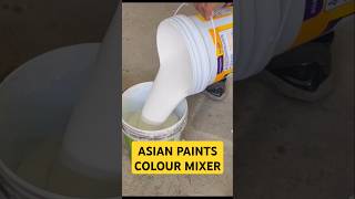 how to apply wall painting colour asianpaints diy wallpainting walldecor shorts [upl. by Lemire510]