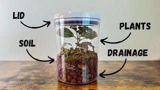 The Quickest Guide to Closed Terrariums [upl. by Ellesirg22]