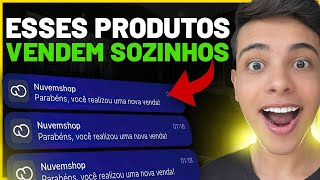 DROPSHIPPING TOP 10 PRODUTOS PARA VENDER MUITO EM 2023 Produtos que eu vendo  Dinheiro online [upl. by Roee]