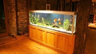 How to Maintain a Big Fish Tank  Aquarium Care [upl. by Novek]