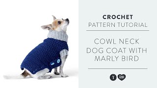 Cowl Neck Crochet Dog Coat With Marly Bird  Free amp Easy Crochet Pattern [upl. by Jarib]