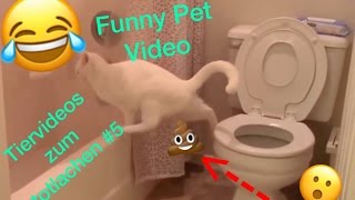 Lustige Tiervideos zum totlachen 20162017  Funny Pet Video 5 [upl. by Alemat]