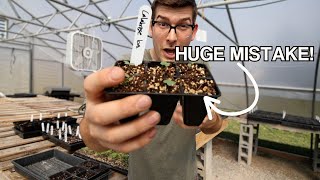 This Transplanting Tip BLEW MY MIND and Saved Me From Killing Plants [upl. by Leksehc]