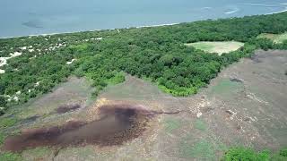 Higbee Beach Wildlife Management Area Restoration ProjectVideo1 [upl. by Hamehseer]