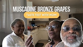 Bronze Muscadine Grapes [upl. by Aylmer]