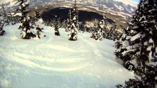 Cariboo Cat Skiing  Valemount Jasper [upl. by Kama]