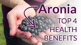 The Top 4 Amazing Aronia Berries Health Benefits [upl. by Zilla780]