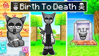 BIRTH to DEATH of GREY in Minecraft [upl. by Brause136]