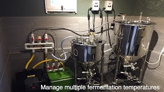 Ultimate way to Control Fermentation [upl. by Dias]