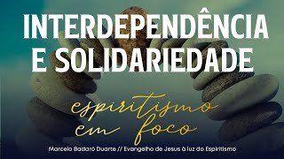 INTERDEPENDÊNCIA E SOLIDARIEDADE [upl. by Kath]