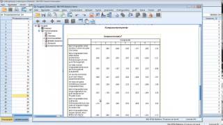 Explorative Faktorenanalyse mit SPSS [upl. by Wendy649]