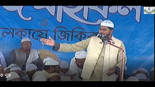 চরমোনাই বার্ষিক মাহফিলের স্টেজে সাবেক ভিপি নুরুল হক নুরুএর বক্তব্য [upl. by Nosredneh]