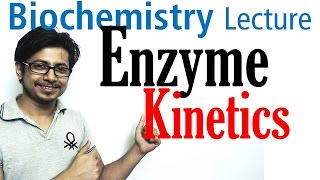 Enzyme kinetics vmax and km [upl. by Oona368]