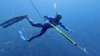 Spearfishing and Freediving the Alderman Islands New Zealand  Yellowtail Kingfish and Blue Water [upl. by Zacek]