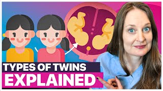 Everything You Need to Know About Twins Types Formation Chances amp Pregnancy Implications [upl. by Elora683]