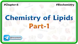 Chapter 6  Lipids  Chemistry Of Lipids Part 1  Hindi [upl. by Hubing]