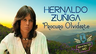 PROCURO OLVIDARTE  HERNALDO ZÃšÃ‘IGA KaraOke HD [upl. by Modeste]