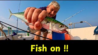 Mackerel Fishing on Boat  Guernsey Channel Islands Great Britain [upl. by Seafowl]