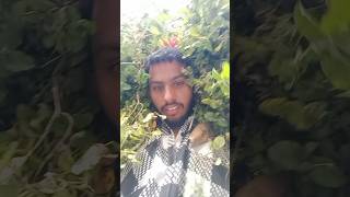 Tum kho to scope lelu 😆🫢 minivlog  Mahanet  stragglers life 94300 [upl. by Stanwood]