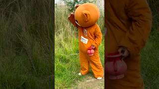 Mr Teddy bear fanny video comedy funnyteddy stuffedanimal funny funteddy teddybear toocute [upl. by Saiff639]