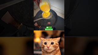 Ninja technique eggs fry😺😺😺Ohio cat reaction cat memes shorts popular [upl. by Ellimaj]