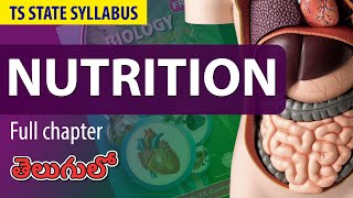 Nutrition Full Lesson  Nutrition 10th biology full chapter 1  TS syllabus 10th science ch1 [upl. by Esidnak932]