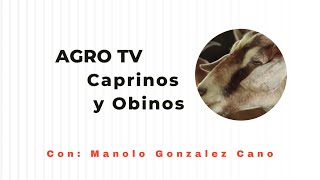 PROGRAMA AGRO TV DOMINGO 24 de nov CAPRINO SARDINILLA FUNDACIÓN CAMPING [upl. by Wahs]