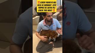 Elvish Yadav Ki Cute Puppies❤️🥰shorts elvishyadavvlogs elvishyadav elvisharmy youtubeshorts [upl. by Ling]