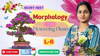 Morphology of Flowering Plants L 6  Fruits amp Seeds  NCERT Class 11NEET 2025  Simran Maam [upl. by Crenshaw]