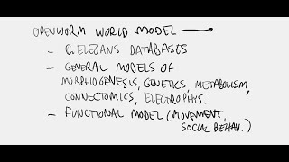 DevoWorm 2024 37 Growing embryo networks the RNA milieu World models for C elegans [upl. by Steere]