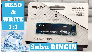 Review SSD M2 NVME PNY CS1031 PALING DINGIN DARI PADA YANG LAIN [upl. by Nolte]