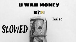 HAISE  U WAH MONEY B SLOWED [upl. by Mcfarland]