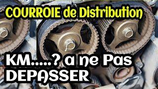 Courroie de distribution  quel est le kilométrage à ne pas dépasser [upl. by Rory502]