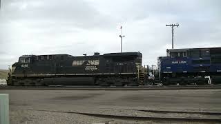 NS 4388 and MRL 4315 lead a BNSF coal train at Glendive MT [upl. by Iruj]