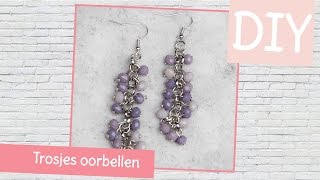 DIY sieraden maken met Kralenhoekje  Trosjes oorbellen maken [upl. by Analihp369]