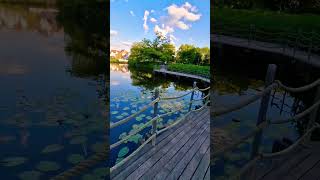 Beautiful Park in RhedaWiedenbrück beautiful park amazing view nature viral video trending [upl. by Daune]