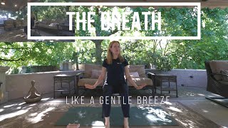 1155 The Breath Like a Gentle Breeze [upl. by Julis]