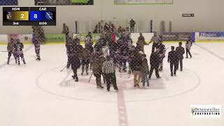 Homestead vs Carroll  Fort Wayne Amateur Hockey  SummitCitySports [upl. by Zavras956]