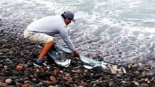 La Sorpresa que este Pescador Encuentra al Sacar su Red lleno de pescados del Mar Agitado [upl. by Aisatnaf935]